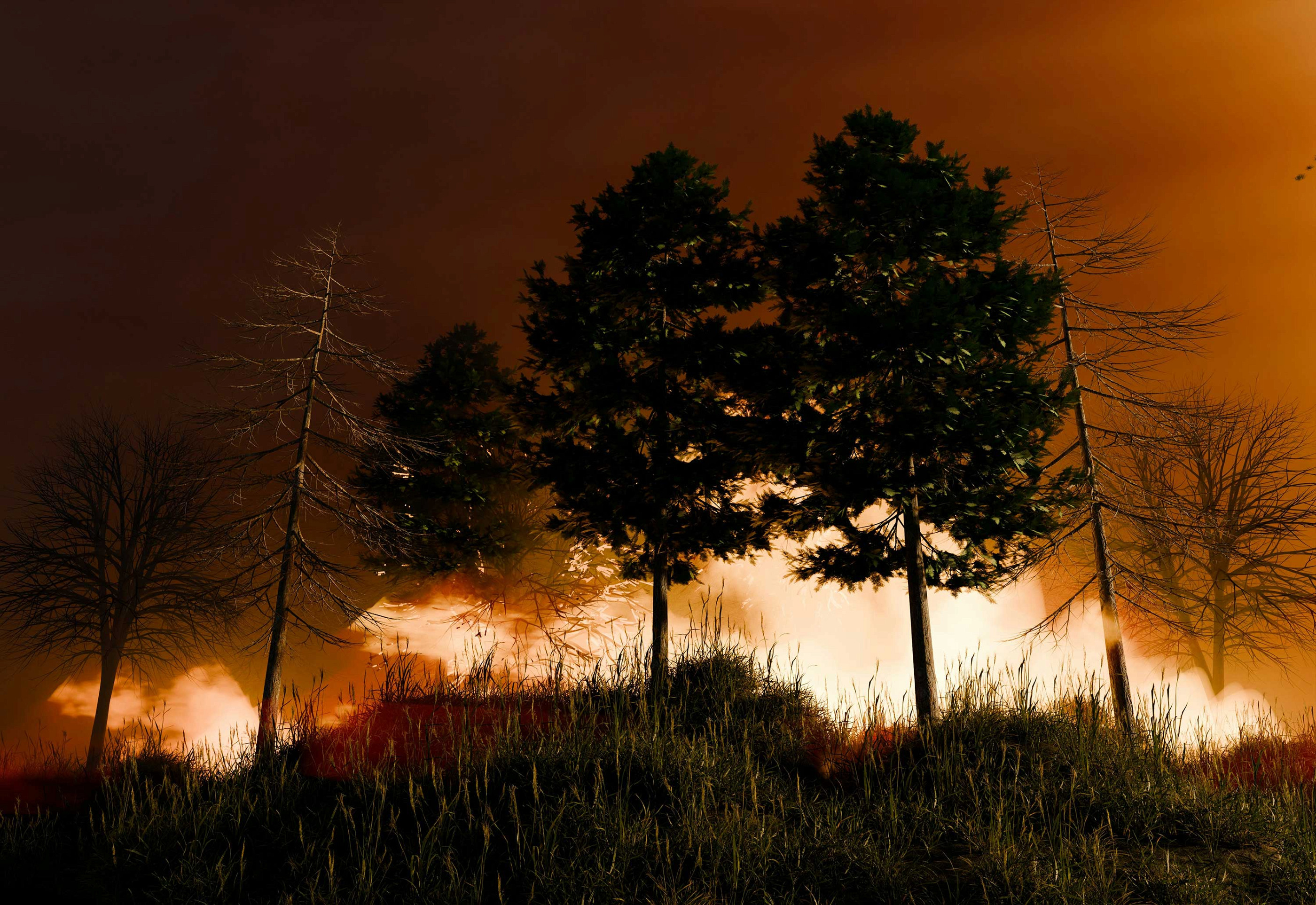The rising toll of disasters: why the US needs coordinated national action on climate change